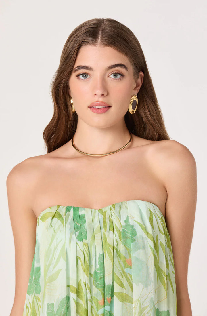 Aileen Strapless Maxi Dress